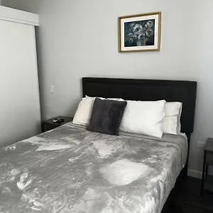  Apartment Spacious 1 Bedroom Apartment, With Pull Out Couch